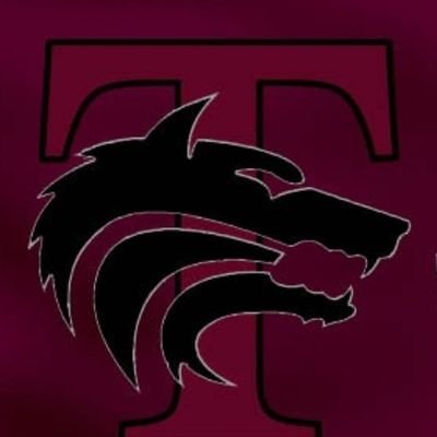 Twitter page for the Mansfield Timberview Cheerleaders 📣