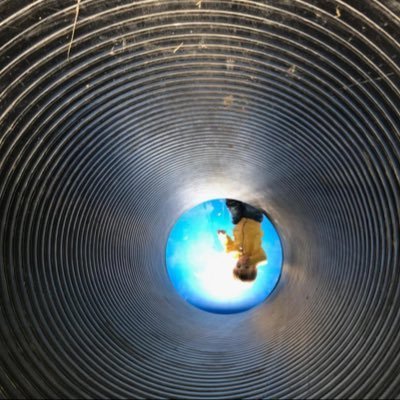 TechH280950's profile picture. Likes, Retweets, Follows = No Endorsements 236-889-2205