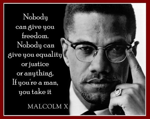 DKanzari's profile picture. 