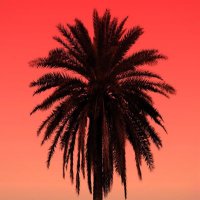 Rhaydden (@rhaydden) 's Twitter Profile