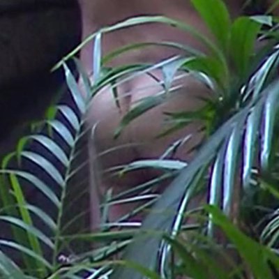 transmitdigital's profile picture. Vote Reform UK Ltd. Comms Daddy