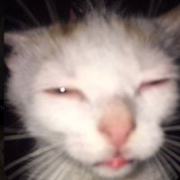 ☀️ (@niehausbay) 's Twitter Profile Photo ☀️ (@niehausbay) 's Twitter Profile Photo