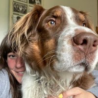 Sarah Carr (@mrssarahjcarr) 's Twitter Profile Photo Sarah Carr (@mrssarahjcarr) 's Twitter Profile Photo