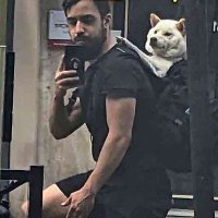 Kenshin9977 (@kenshin9977) 's Twitter Profile Photo