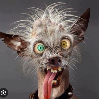 AD_underdog's profile picture. a guy who knows better