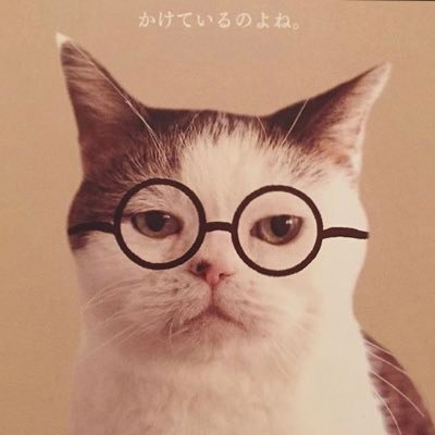 rinchan_godona's profile picture. 리나 です アミのところに遊びに行っては無言フォローしてごめんなさい この歳で🐱ユンギペンになりました 7人みんな大好きです💜 ねこ飼ったことないけどねこ好き 名前のgodona（ゴドナ）は実家で飼っていた犬の名前 パン🍞🥐大好き
