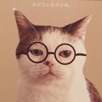 rina_casserole (@rinchan_godona) 's Twitter Profile Photo rina_casserole (@rinchan_godona) 's Twitter Profile Photo