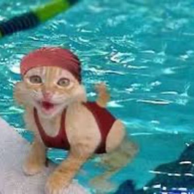 dimalexb's profile picture. La pour le fin