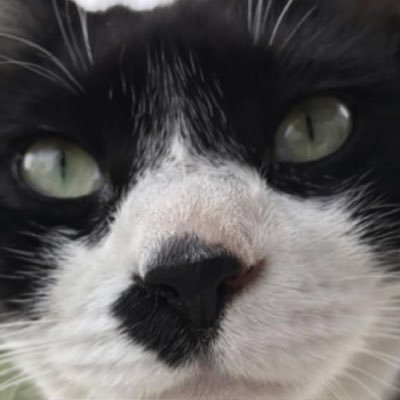 heesui_0425's profile picture. 