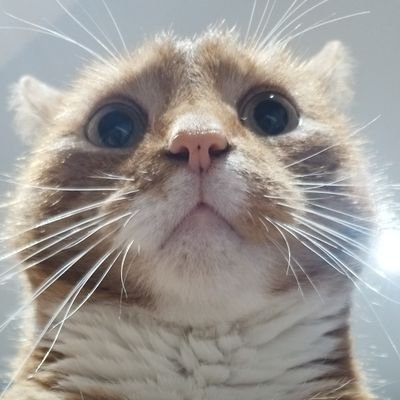 DanielE47963266's profile picture. 