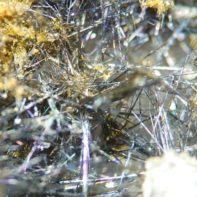 kuze_nana's profile picture. 無言フォローすいません。
鉱山などに出没しますが、産地保護の為あまりつぶやきません。
普段から石を持ち歩き布教活動もしています♪
3月に息子と東北の旅計画中　糸魚川→郡山→盛岡→平泉→鹿角→秋田→角館