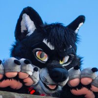 Zet 🔜 Aurawra (@zet_soku) 's Twitter Profile Photo