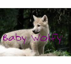 Am a little baby werewolf [RP//Cute\\Love-able]  @PuppyWithFangs ← Mwa Wolfy! :)  @BurntMatches ← Mwa Sista [@LilDelenaLove ← BBF]
