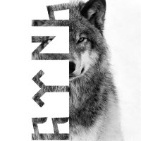 Börü (@boru1283) 's Twitter Profile