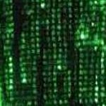 H4CK3R0063's profile picture. 