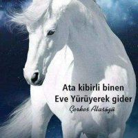 Abdulkadir uz (@abdulkadiruz_) 's Twitter Profile Photo