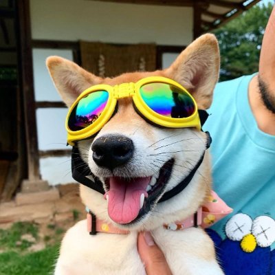 MogdogCTO's profile picture. https://t.co/fSsstSEyvo

CA
Bzu1nWVKRFEn7FRumTNrTC4qqxtBaMCMBNY1z7ejpump