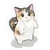 Tatacat (@catanddogn) Twitter profile photo Tatacat (@catanddogn) Twitter profile photo