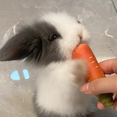 Lucc_Prott's profile picture. Lucca é o meu salvador e nada me faltará

Conta voltada para interações! ❣️

18 anos - 🇧🇷 - 🏳️‍🌈 - Ele/Dele