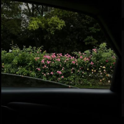خريجة علاقات عامة وإعلان من #kku || اللهم أجعلني مباركاً أينما كنت🤍🌱..