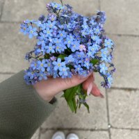 إسـراء (@esraaesmaeel111) 's Twitter Profile