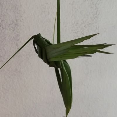 Ara94353342's profile picture. Un sueño ?
Un deseo? 
El dolor, sufrimiento, abandono y desconsuelo en los animales nunca más será conocido sobre la faz de la tierra !!