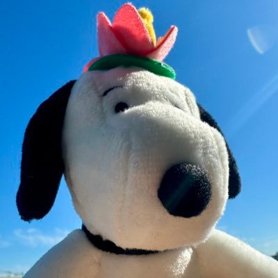 307Aki20926's profile picture. #サ活 @東京近郊 ゆる〜く、気ままに、マイペースに。