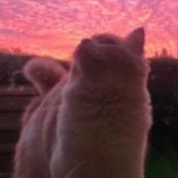 turbo_igor_777 (@turbo_igor_777) 's Twitter Profile Photo turbo_igor_777 (@turbo_igor_777) 's Twitter Profile Photo
