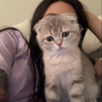 ๐ฑ๐จ๐ต๐จ๐. (@vbz_bk) 's Twitter Profile