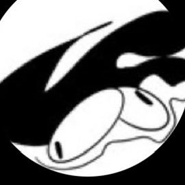 THAT 1 GUY Profile