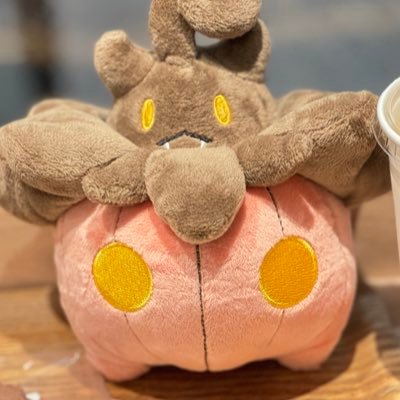 XY発売からバケッチャ大好き❤️ぬい写メインたまに絵を描いたりハンドメイドしたり🎃フォロー慎重派です🎃💦多忙の為投稿だけのことが多いです💦ごめんなさい💦