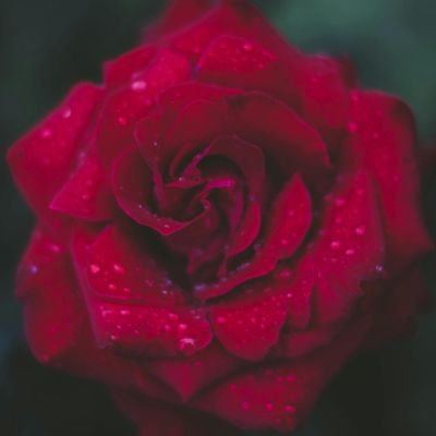 intel_analytica's profile picture. leftist | cyber and econ writer | former law enforcement | OSINT enjoyer