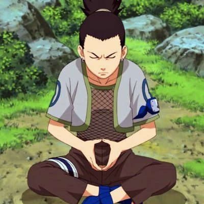 IComeEndYou's profile picture. (He/Him) Professional Pineapple on Pizza Propaganda Propagator | Proud Member of the Raccoon Corporations | Free Autocombo Training for $20 per hour