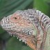 John H 🦕 (@allottofweeds) Twitter profile photo John H 🦕 (@allottofweeds) Twitter profile photo
