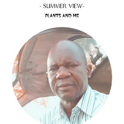 RaddaMamman's profile picture. I am gentle