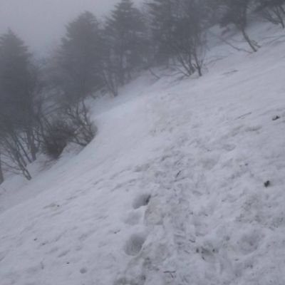 ad115321bz9's profile picture. 長期の資産運用でリタイア後の生活をゆったりノンビリ余裕のある生活を目指す
貧乏投資家のつぶやきです😅