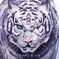 とめ (@tomeitoly) 's Twitter Profile