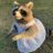 jadynsca's profile image