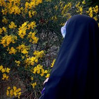 فاطمه بانو☘️✨ (@fatimaa1384) 's Twitter Profile
