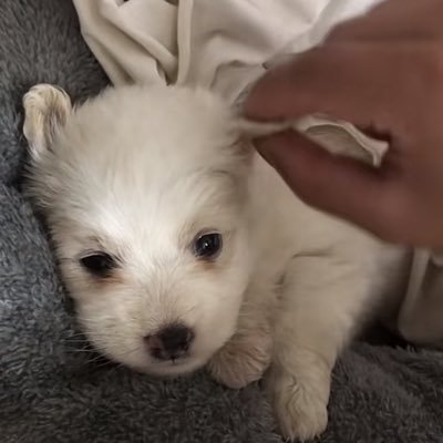 BaekandI0506's profile picture. Only for Baekhyun.