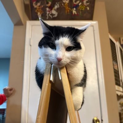 thedean7710's profile picture. 