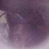 JK Julius (@jkjuliuz) 's Twitter Profile