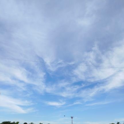 BashaMahab2170's profile picture. 