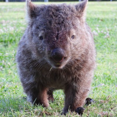 shigecampnote's profile picture. キャンプとコーヒーとウイスキーと登山。