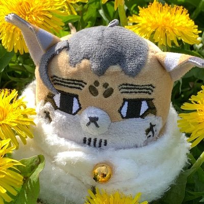 アニキさんのプロフィール画像