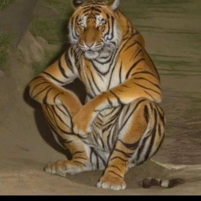 tbagbagwel70420's profile picture. 