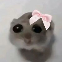 nee (@jjhminee_) 's Twitter Profile