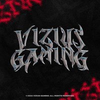 Vizius Gaming (@viziusgg) 's Twitter Profile