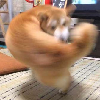 Chiboo_5's profile picture. 【ゴミかす年貢リスト】https://t.co/IpJy0DAW65