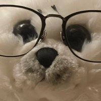 さなだの挑戦 (@challsanada) Twitter profile photo